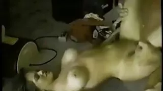 Puma de peito grande ...