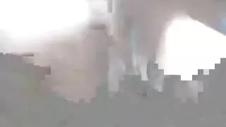 Duas putas video sex ...