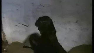 Sasha está assistir  ...
